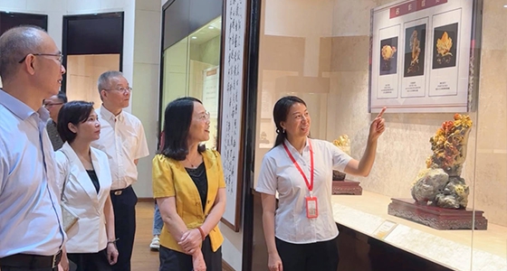 探索东方风范，，，，尊龙凯时·倪东方艺术博物馆与时代脉搏共振